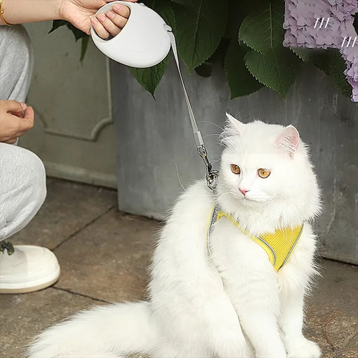 Retractable Nylon Pet Leash for Small Dogs & Cats | S / L
