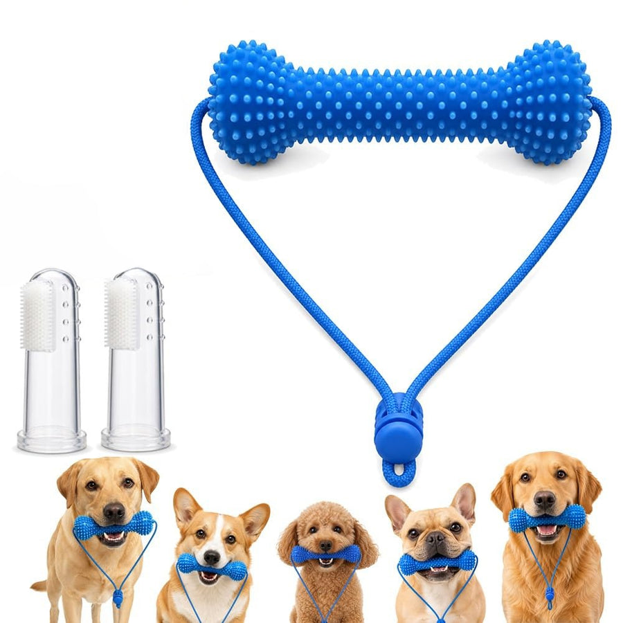 Pawevia™ Bite & Brush Dental Chew