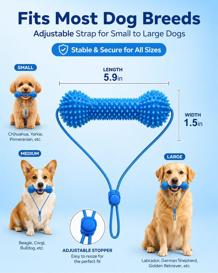 Pawevia™ Bite & Brush Dental Chew